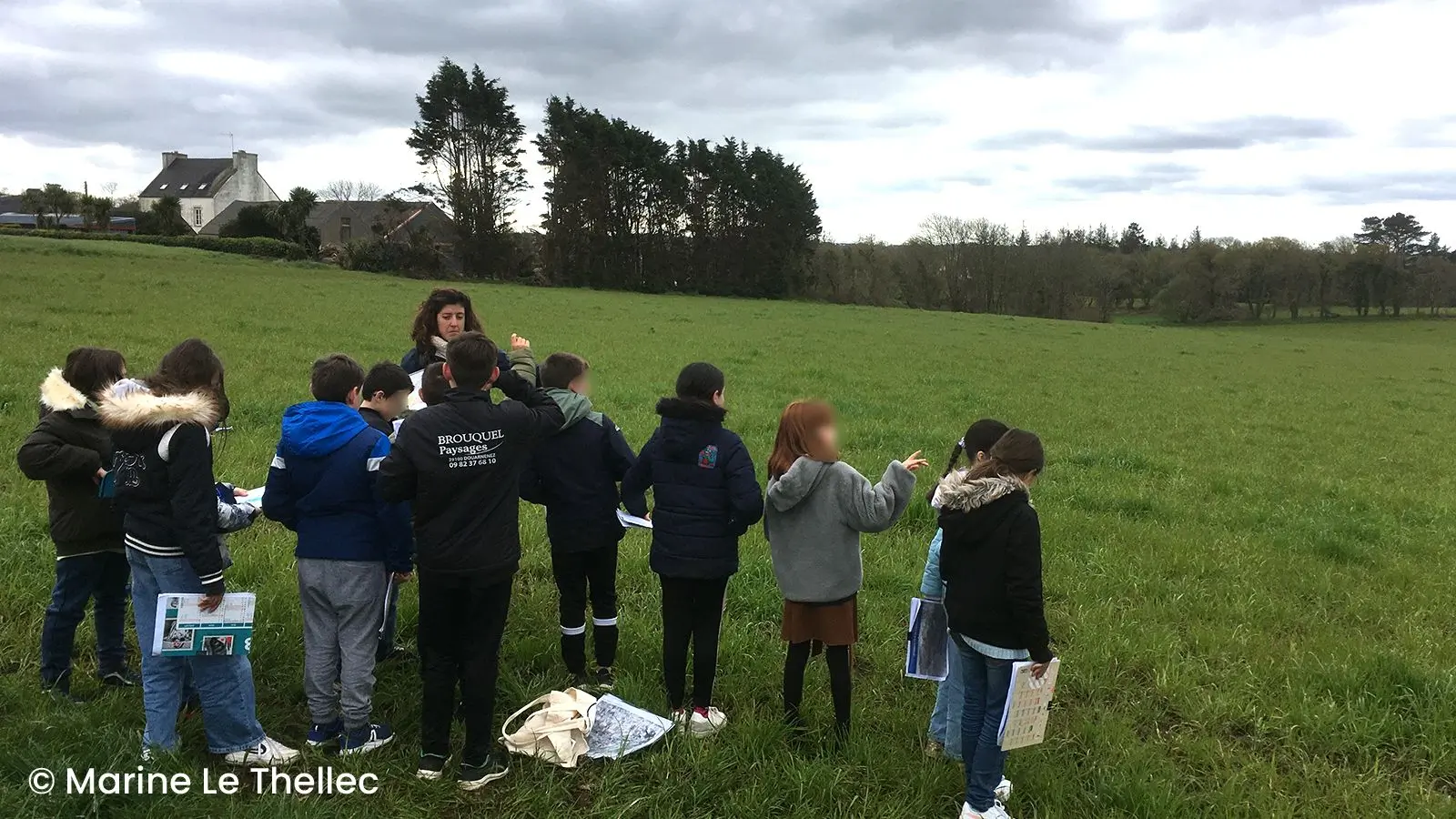 Lecture de paysage du bocage éparse sur le plateau agricole