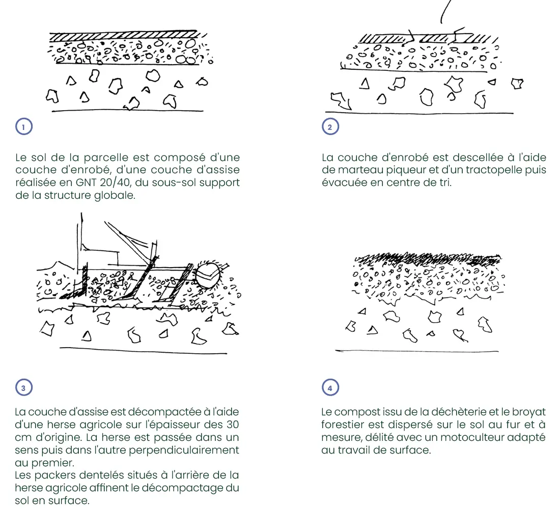 suite de schémas représentant le processus de renaturation des sols